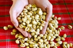 Pistachios updates, Pistachios protein, pistachios are a perfect protein snack, Love