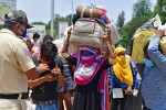 labourers, sonu sood, plight of migrant workers baby shakes to wake up deceased mother, Toddler