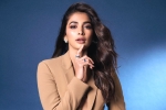 Pooja Hegde next films, Pooja Hegde 2024, pooja hegde lines up bollywood films, Guntur