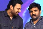 Maruthi, Prabhas and Maruthi film news, new title for prabhas and maruthi film, Nidhhi agerwal