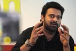 Prabhas movie updates, Prabhas upcoming films, two young beauties in talks for prabhas next, Pelli sandad