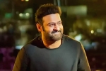 Hombale Films, Shruti Haasan, prabhas back to the sets of salaar, Indian actors