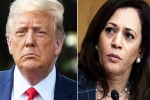 Amy Tripp predictions, Kamala Harris, astrologer predictions about the new us president, Amy tripp