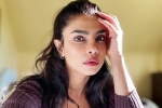 Don't Look For Virgin Wife statement, Priyanka Chopra Don't Look For Virgin Wife, priyanka chopra breaks silence on don t look for virgin wife comment, Priyanka chopra