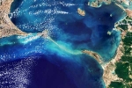 Ram Setu pictures new breaking, Ram Setu pictures latest, ram setu s pictures from the space, Birds