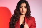Rashmika and Manager issue, Benchmark Talents, rashmika mandanna clears air, Animal film