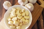 Raw Garlic and Blood Pressure news, Raw Garlic and Blood Pressure news, does eating raw garlic help with high blood pressure, Digestion