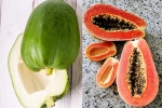 Raw Papaya Vs Ripe Papaya, Raw Papaya Vs Ripe Papaya breaking, raw papaya vs ripe papaya which is better for blood sugar, Meta ai Raw Papaya Vs Ripe Papaya, Raw Papaya Vs Ripe Papaya breaking, raw papaya vs ripe papaya which is better for blood sugar, Meta ai