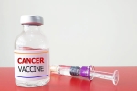 Russia Cancer Vaccine 2025, Russia Cancer Vaccine feedback, russia claims cancer vaccine discovery oncologists sceptical, Magazine