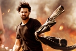 Saaho news, Saaho, saaho ten days telugu states collections, Neil nitin mukesh