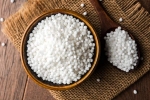 Sabudana latest breaking, Sabudana, is sabudana good for health, Press