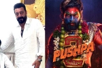 Mythri Movie Makers, Pushpa: The Rule, sanjay dutt s surprise in pushpa the rule, Indian film industry