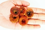 Soaked Anjeer news, Soaked Anjeer new updates, can you take soaked anjeer every day, Stress