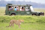 South African Safari Trip, South African Safari Trip breaking, how to plan your south african safari trip, Reviews