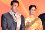 Salman Khan news, Salman Khan, sridevi to work with salman khan, English vinglish