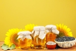 Sunflower Oil latest, Sunflower Oil breaking, long term effects of consuming sunflower oil on heart health, Balance