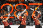 IPL 2024, Sunrisers Hyderabad, sunrisers hyderabad scripts history in ipl, Sunrisers hyderabad