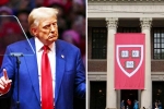 Donald Trump news, Donald Trump Vs Harvard University, trump demands 1 billion as damages from harvard university, Women Donald Trump news, Donald Trump Vs Harvard University, trump demands 1 billion as damages from harvard university, Women
