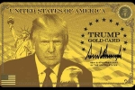 Trump's Corporate Gold Card, Trump's Platinum Card, all about trump s gold platinum corporate gold cards for h 1b workers, Employment