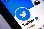 Twitter Blue Ticks latest updates, Twitter Blue Ticks updates, twitter blue ticks are back, Mammootty