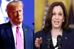 Kamala Harris, Donald Trump, ai predictions on us presidential polls, Polls