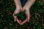 world earth day, planet, what can you do to save earth, Earth day