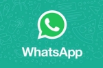 WhatsApp Native iPad App new updates, WhatsApp Native iPad App latest, whatsapp s native ipad app to release soon, Donald trump