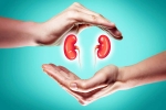 World Kidney Day 2025, World Kidney Day 2025 care, world kidney day 2025 theme and health tips, Way