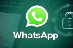 iOS Testing Multi-Account Support for WhatsApp latest, iOS Testing Multi-Account Support for WhatsApp latest, whatsapp for ios testing multi account support, Whatsapp