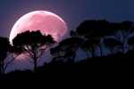coronavirus, super pink moon, april s super pink moon to rise today biggest of the year, Supermoon coronavirus, super pink moon, april s super pink moon to rise today biggest of the year, Supermoon