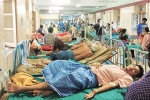 dengue patients in world, high iron levels in blood, people with low iron levels in blood likely to transmit dengue, Mosquitoes