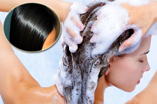 Remedies for Oily Hair &ndash; Caring Tips},{Remedies for Oily Hair &ndash; Caring Tips