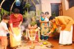 Plant Tulsi, Tulsi Puja, tulsi puja, Hindu ritual