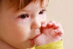 Watery eyes in Babies news, Watery eyes in Babies breaking, real causes does your baby have watery eyes, Common cold