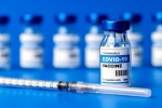 Pfizer, Covid vaccine, protection of covid vaccine wanes within six months, Covid 19 vaccine