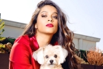 lilly singh comes out as bisexual, hollywood, lilly singh talks about life after coming out as bisexual, Lilly singh