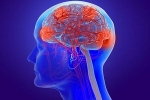 Coronavirus memory loss, Coronavirus cases, coronavirus can cause long term loss of brain tissue, Former un chief