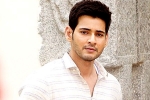 Spyder new, Bharat anu Nenu, mahesh babu to take a long break, Bharat anu nenu