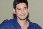 Mahesh Babu news, Mahesh Babu new movie, mahesh babu s next updates, Bharat anu nenu