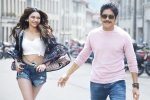 Nagarjuna, Manmadhudu 2 budget, manmadhudu 2 trailer is packed with entertainment, Manmadhudu 2