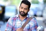 NTR next film, NTR new movie, official ntr s next film locked, Sardar gabbar singh