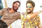 Naga Chaitanya news, Naga Chaitanya updates, naga chaitanya gearing up with two films, Kalyan krishna kurasala