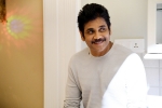 nagarjuna birthday, najarjuna’s top movies, nagarjuna turns 60 5 movies of forever young star you shouldn t miss, Manmadhudu 2