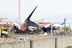 South Korea Plane Crash deaths, South Korea Plane Crash new updates, pilot made mayday call and mentioned bird strike in south korea plane crash, South korea plane crash