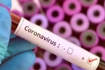 Vaccine for coronavirus, Cure for coronavirus, who warns covid 19 may never go away then what s the future of the world, Trade deal