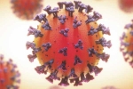 Coronavirus health impact, Coronavirus news, coronavirus is not related to respiratory system says study, Body organs